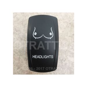 Switch, Rocker Headlights (860445)